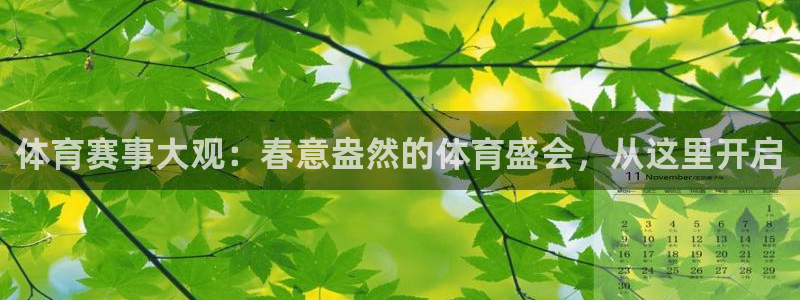 小九直播体育