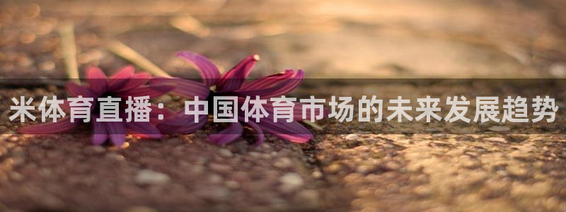 体育新闻