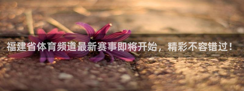 体育新闻